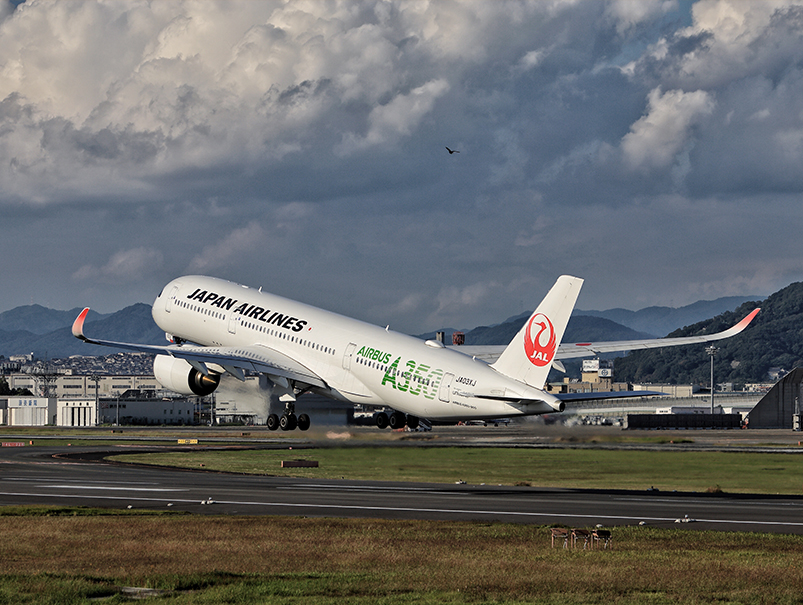A350の写真